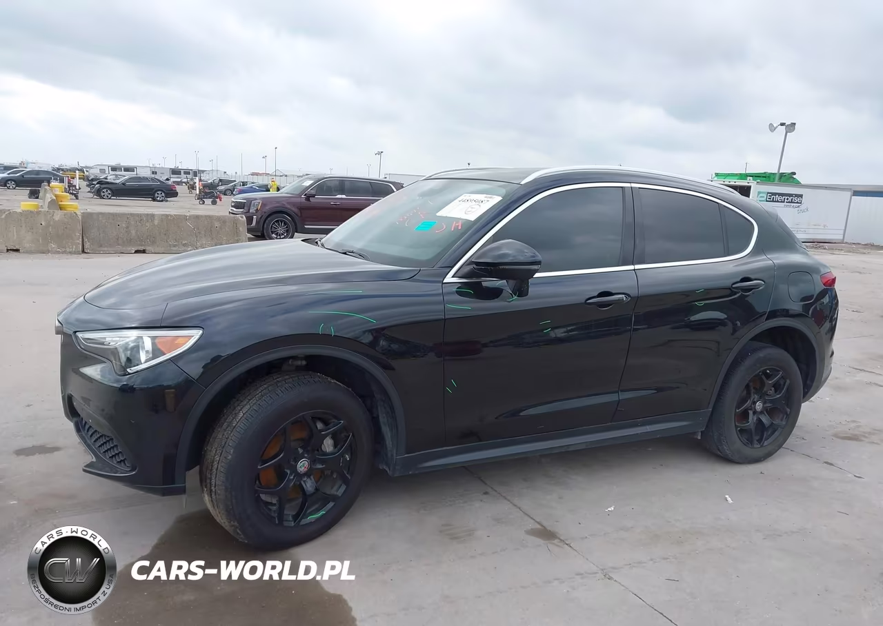 2020 Alfa Romeo Stelvio Rwd VIN:ZASPAJAN0L7C86124 - 20