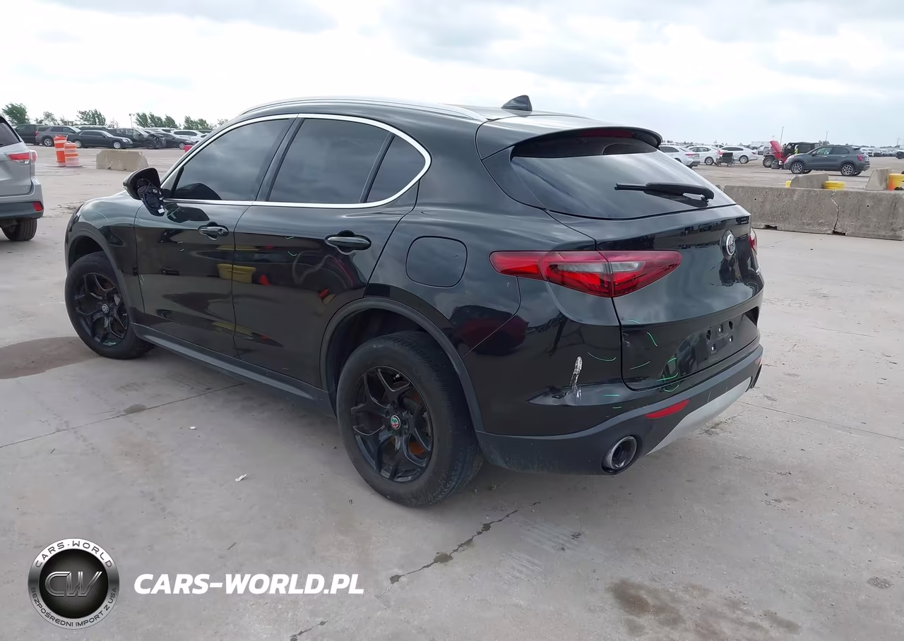 2020 Alfa Romeo Stelvio Rwd VIN:ZASPAJAN0L7C86124 - 3