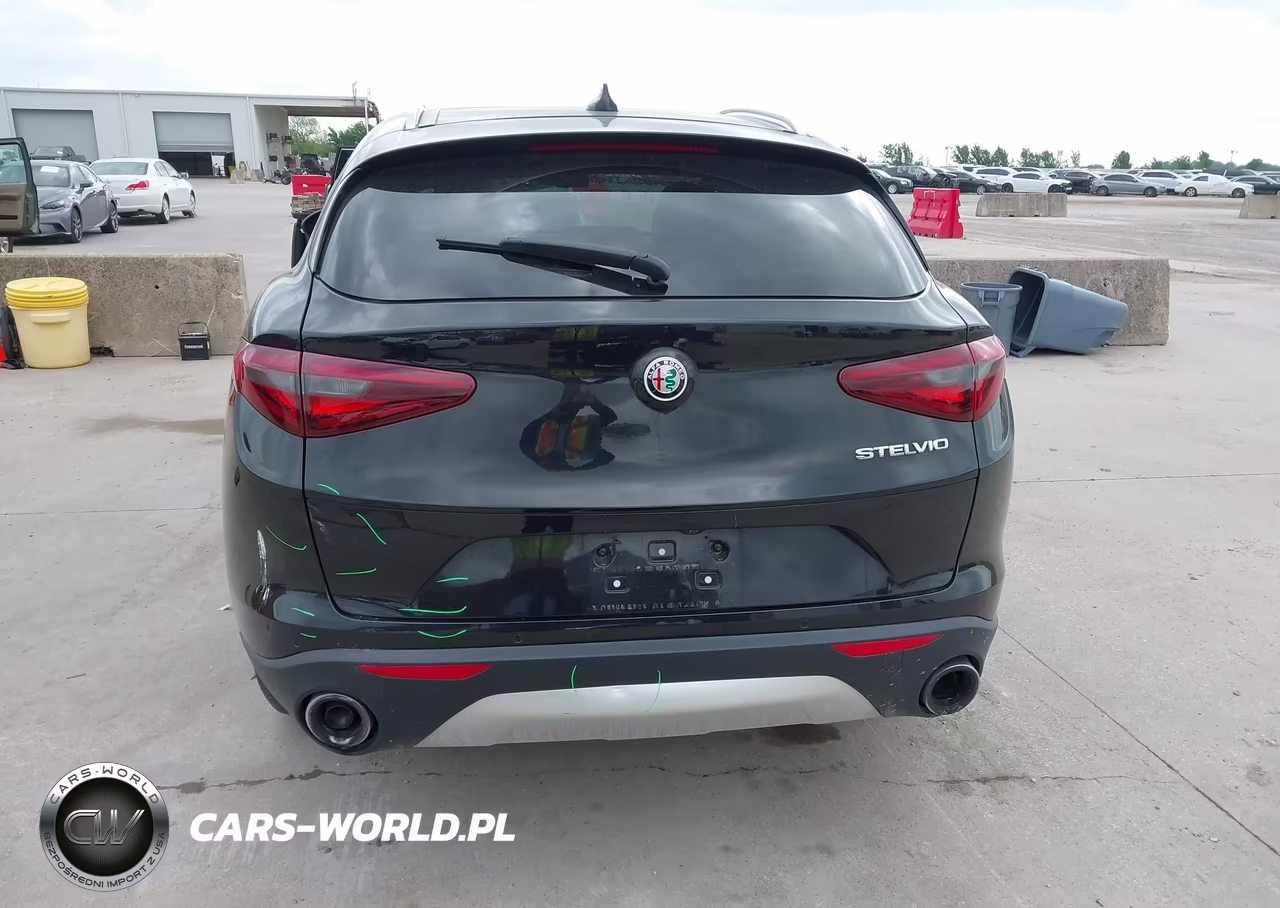 2020 Alfa Romeo Stelvio Rwd VIN:ZASPAJAN0L7C86124 - 6