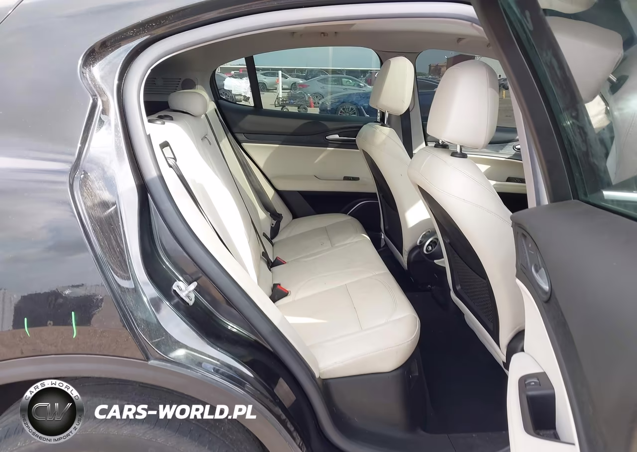 2020 Alfa Romeo Stelvio Rwd VIN:ZASPAJAN0L7C86124 - 8