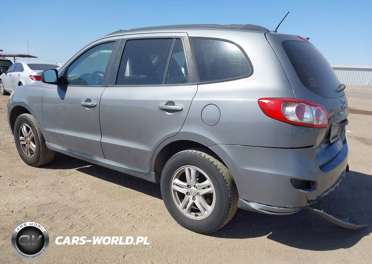 2010 Hyundai Santa Fe Gls VIN:5NMSGDAB9AH371381 - 3