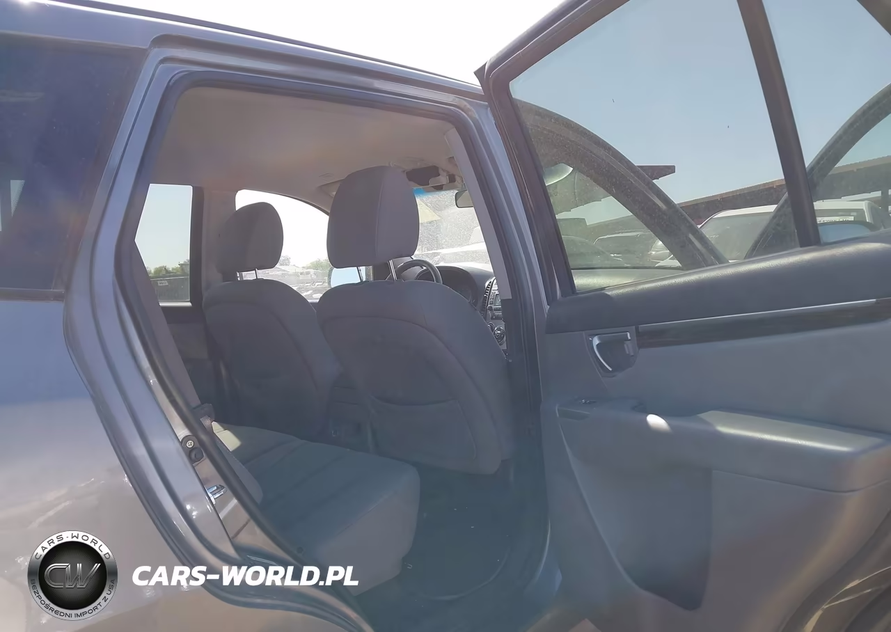 2010 Hyundai Santa Fe Gls VIN:5NMSGDAB9AH371381 - 8