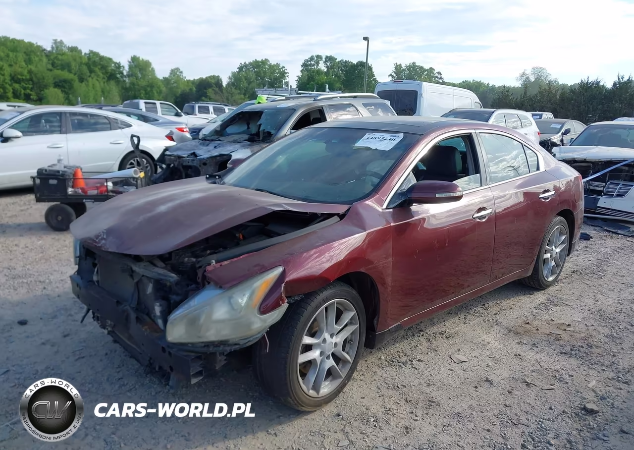 2010 Nissan Maxima 3.5 Sv VIN:1N4AA5AP6AC804545 - 2