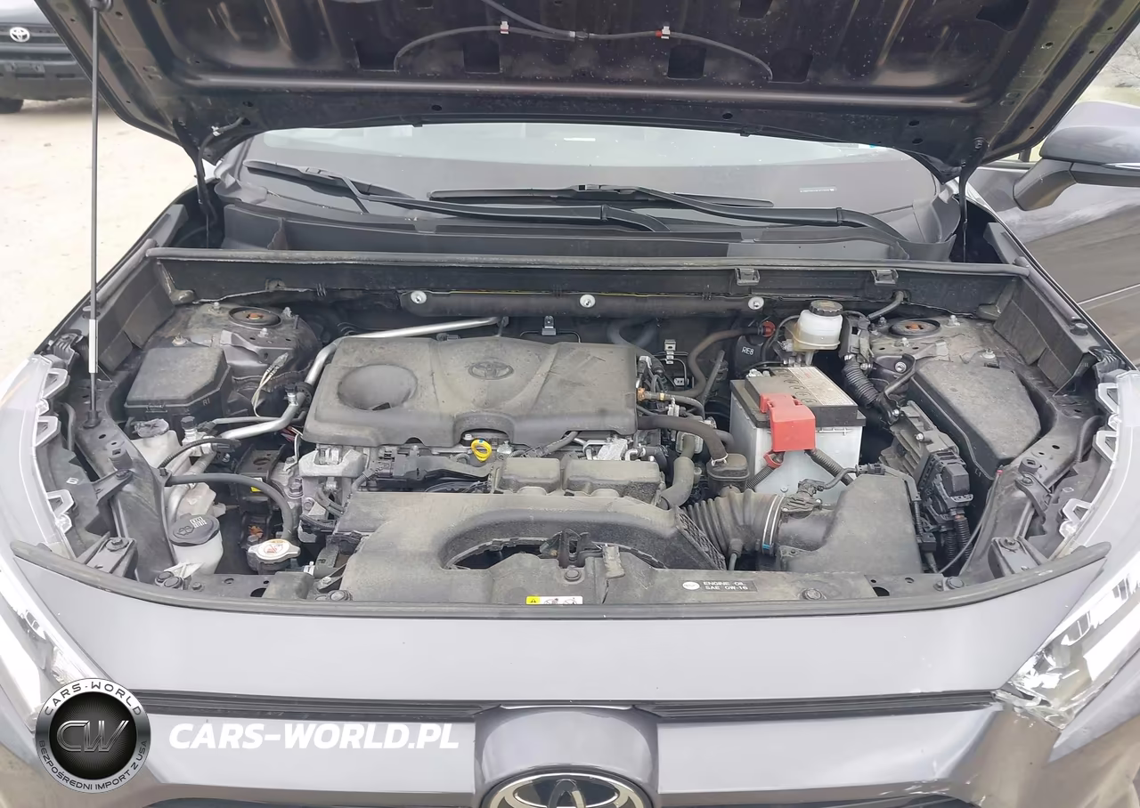 2019 Toyota Rav4 Xle Premium VIN:JTMC1RFV1KJ012849 - 10