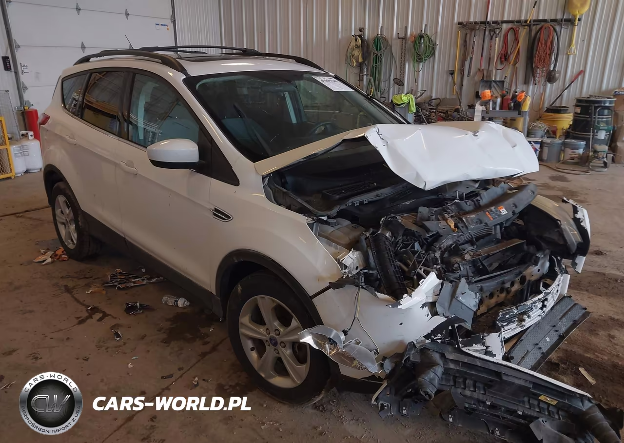 2013 Ford Escape Se