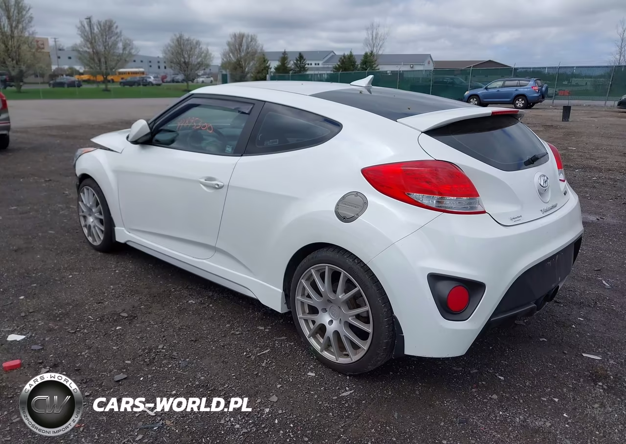 2016 Hyundai Veloster Turbo R-Spec VIN:KMHTC6AE6GU295296 - 3