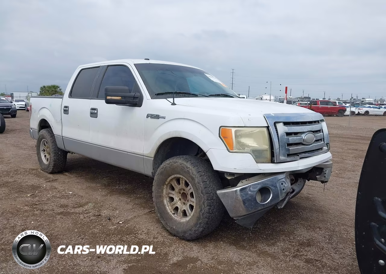 2009 Ford F-150 Xl-Xlt