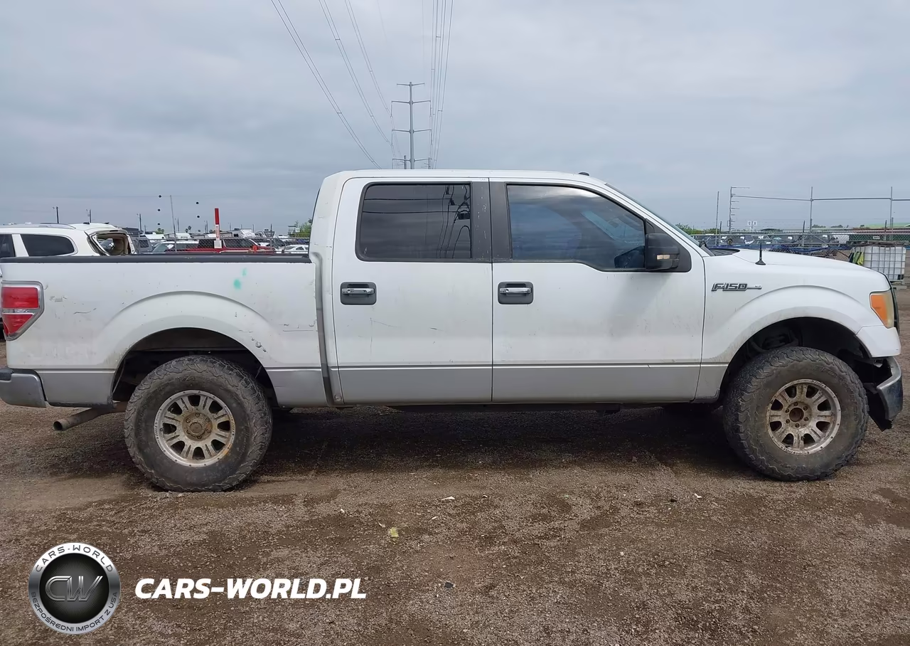 2009 Ford F-150 Xl-Xlt VIN:1FTRW12839FB47440 - 13