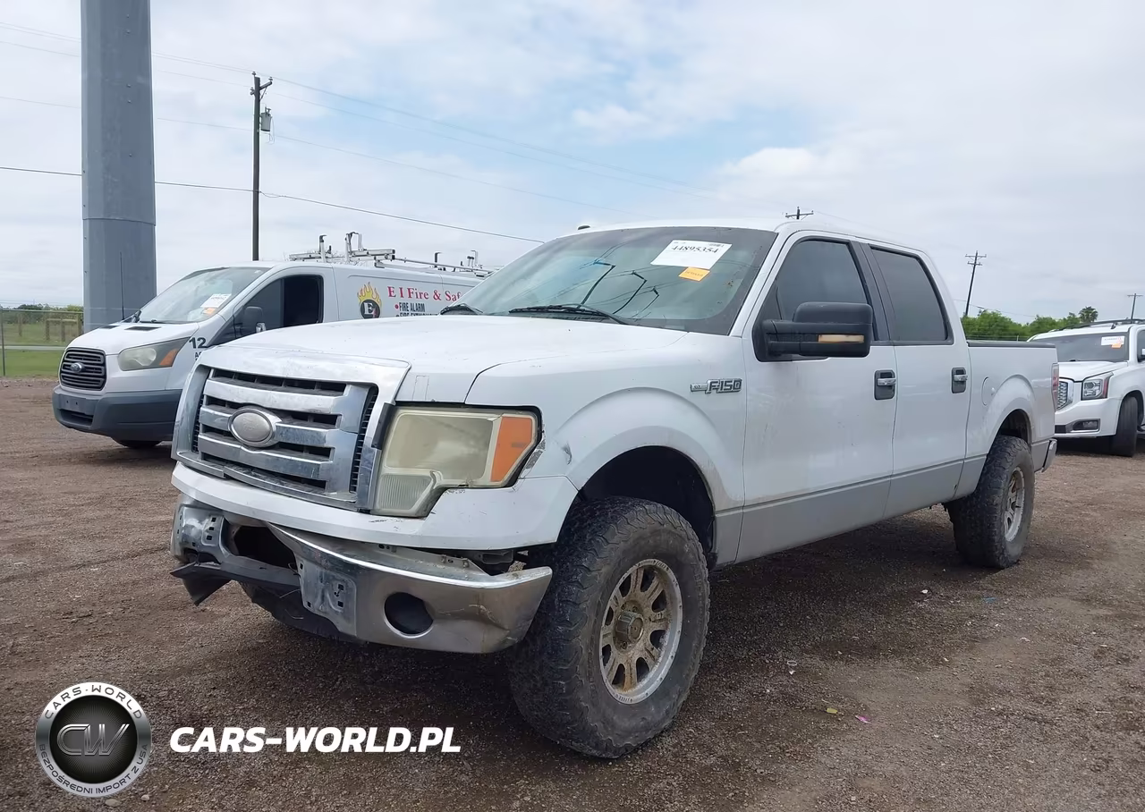 2009 Ford F-150 Xl-Xlt VIN:1FTRW12839FB47440 - 2