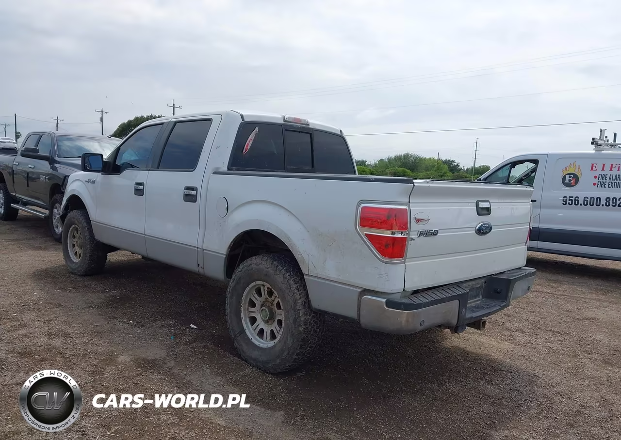 2009 Ford F-150 Xl-Xlt VIN:1FTRW12839FB47440 - 3