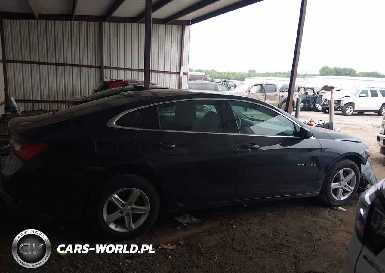 2023 Chevrolet Malibu Fwd 1Lt VIN:1G1ZD5ST7PF238640 - 13