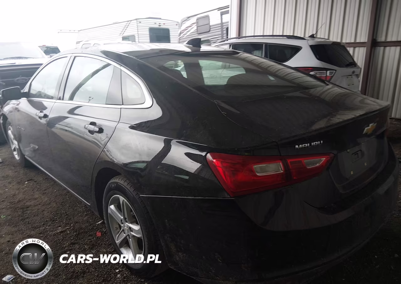 2023 Chevrolet Malibu Fwd 1Lt VIN:1G1ZD5ST7PF238640 - 3