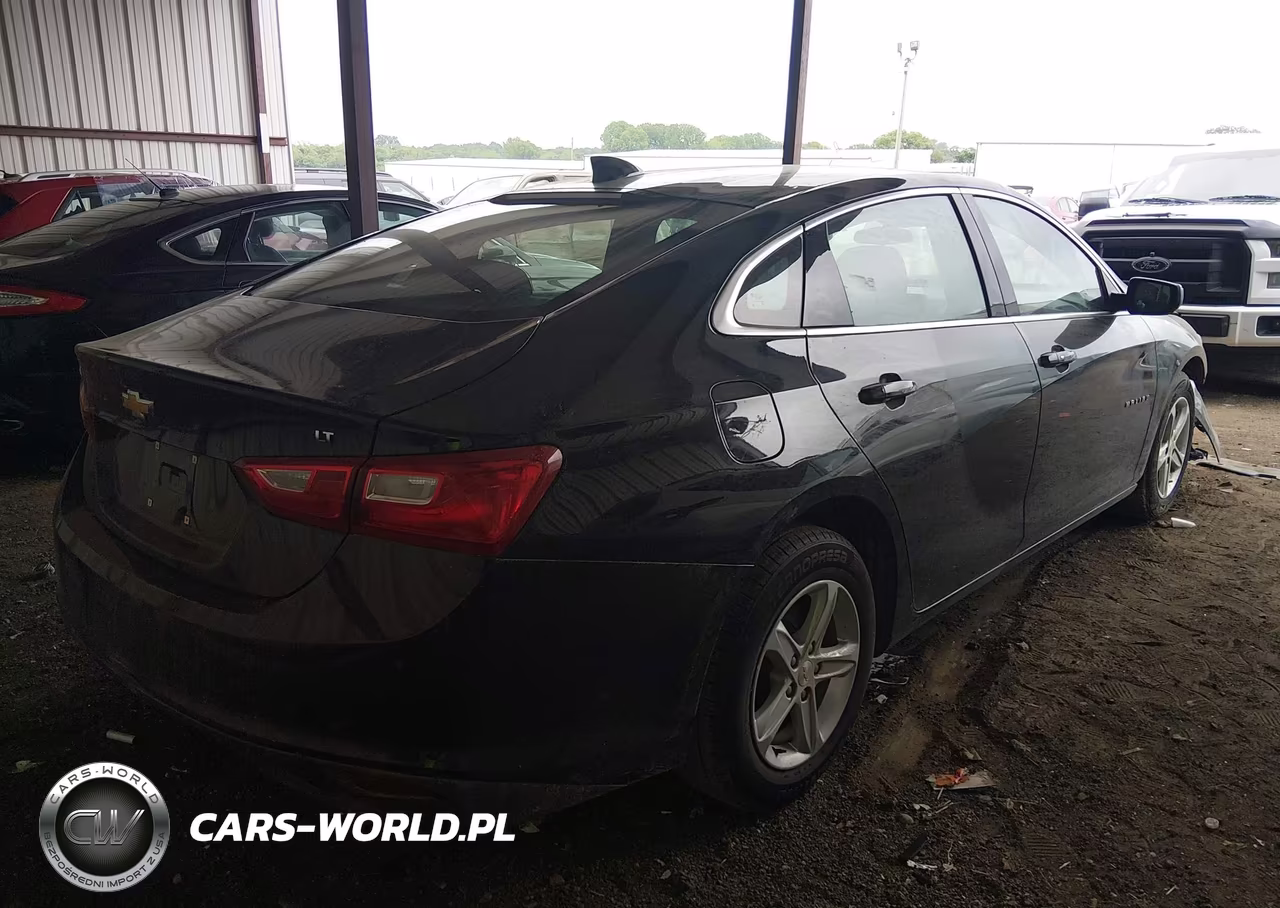 2023 Chevrolet Malibu Fwd 1Lt VIN:1G1ZD5ST7PF238640 - 4