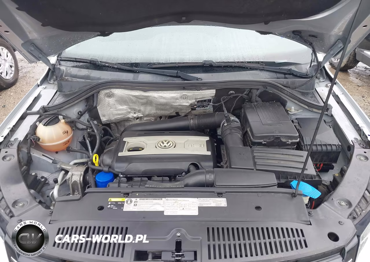2016 Volkswagen Tiguan S VIN:WVGAV7AX5GW606715 - 10