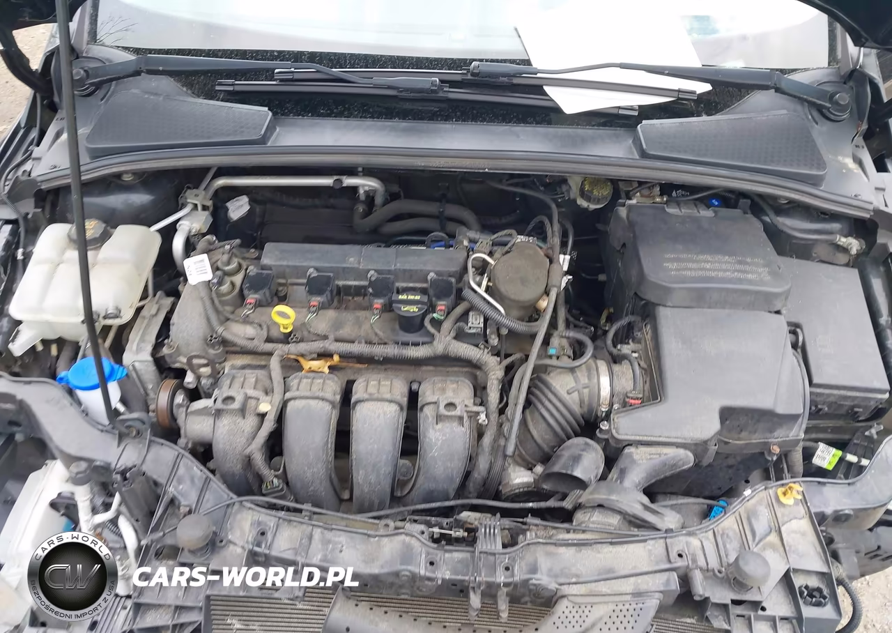 2014 Ford Focus Se VIN:1FADP3K27EL318741 - 10