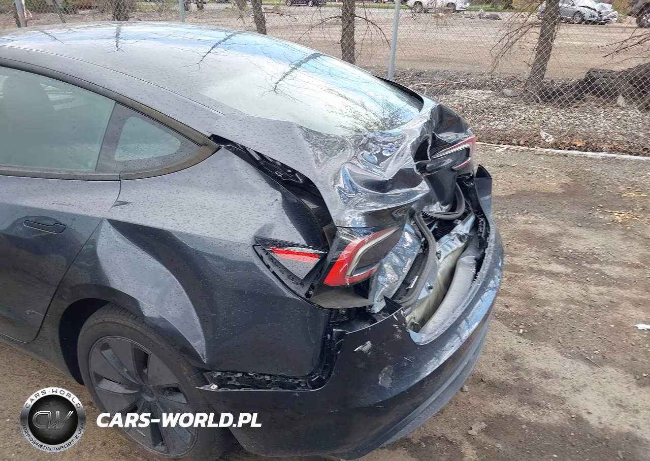 2025 Tesla Model 3 Long Range Rear-Wheel Drive-Standard Rear-Wheel Drive VIN:5YJ3E1EA5SF974941 - 12
