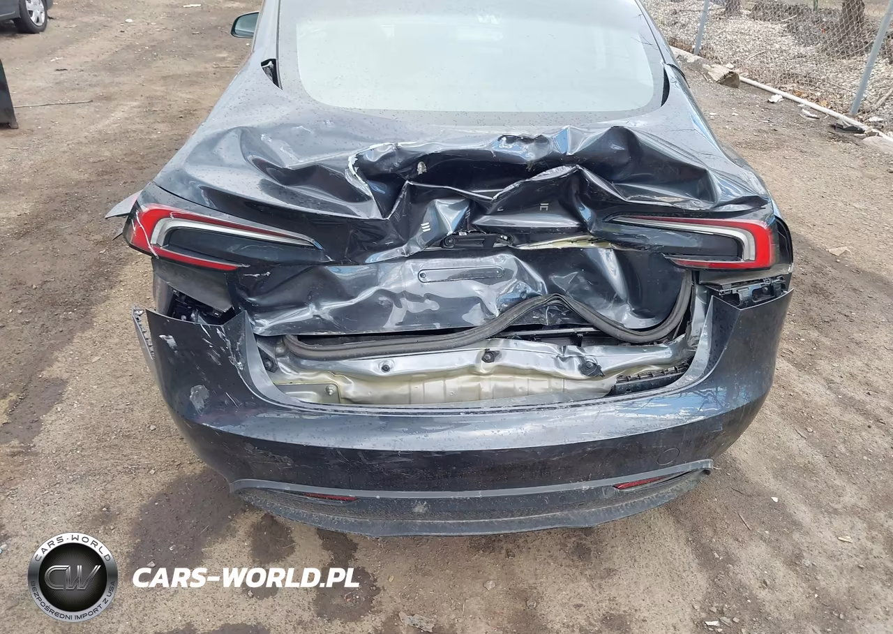 2025 Tesla Model 3 Long Range Rear-Wheel Drive-Standard Rear-Wheel Drive VIN:5YJ3E1EA5SF974941 - 6