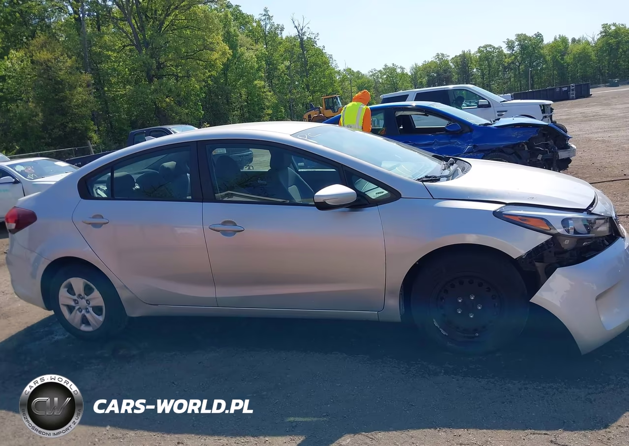 2018 Kia Forte Lx VIN:3KPFK4A70JE233991 - 12