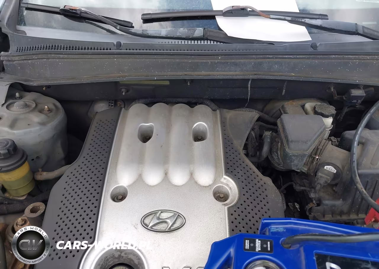 2007 Hyundai Santa Fe Gls VIN:5NMSG73D07H062133 - 10