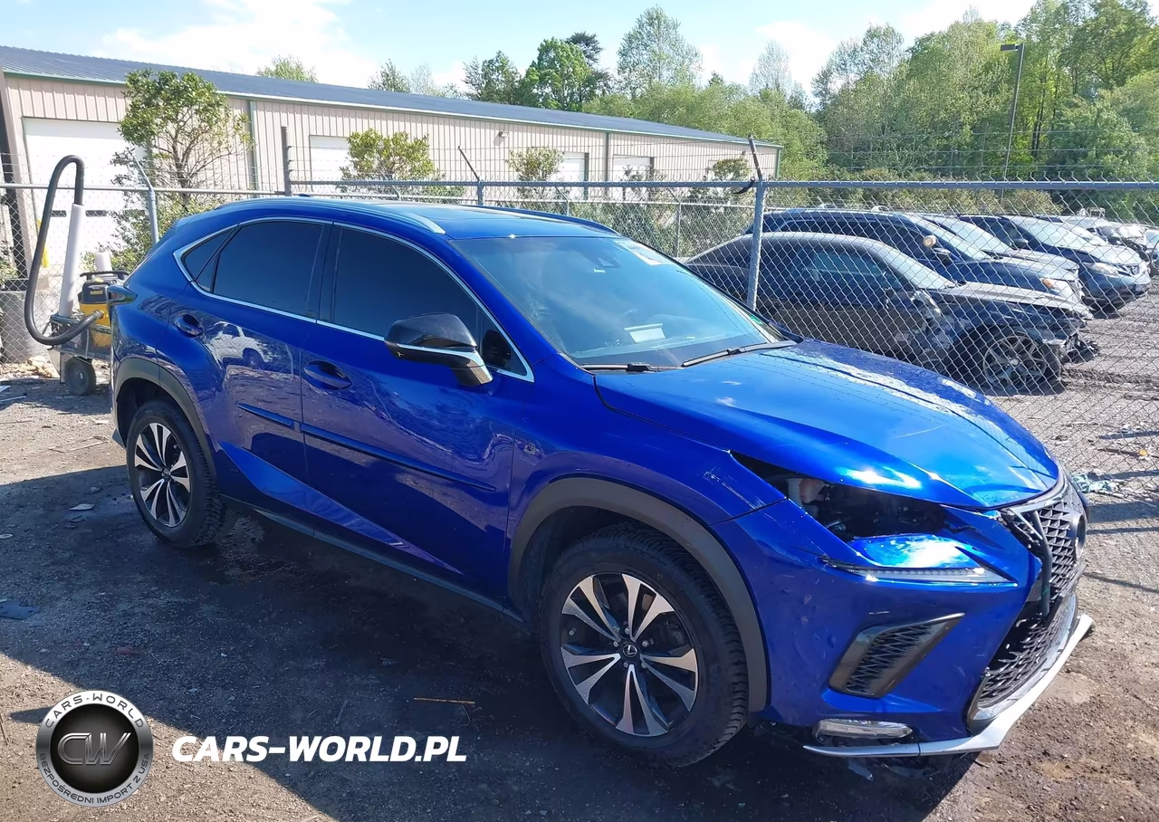 2019 Lexus Nx 300 F Sport