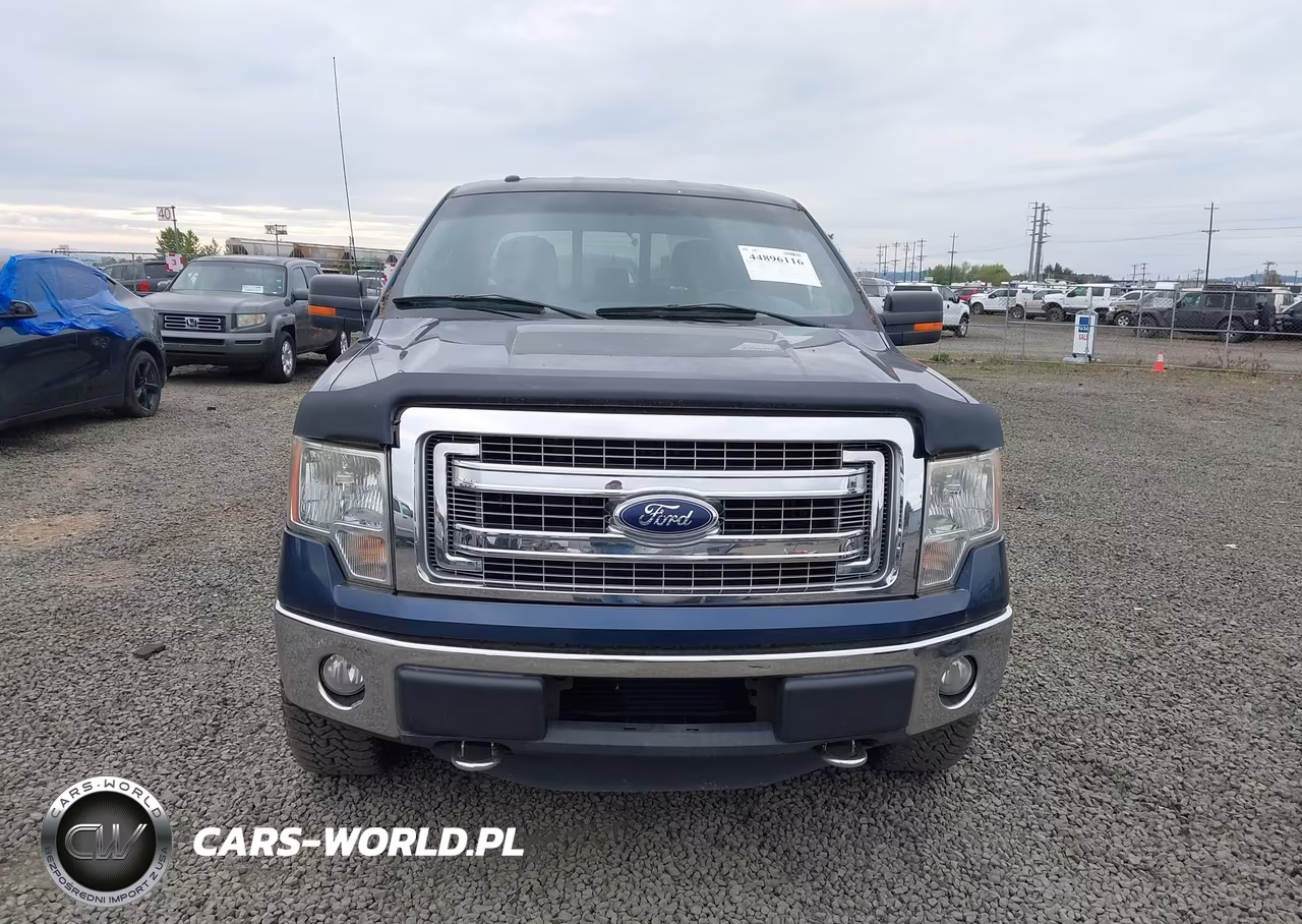 2013 Ford F-150 Xlt VIN:1FTFW1ET3DFC62406 - 12