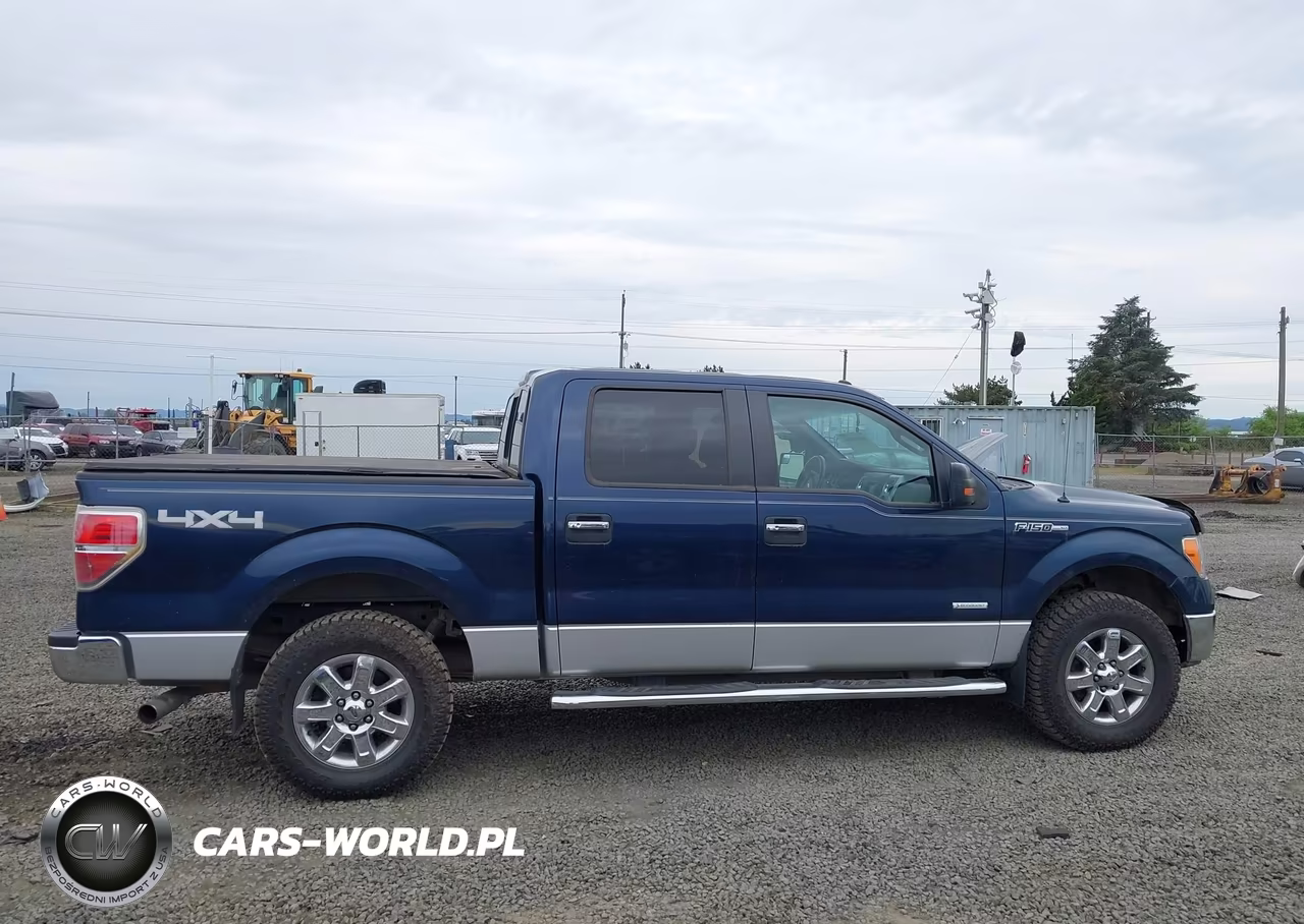 2013 Ford F-150 Xlt VIN:1FTFW1ET3DFC62406 - 13