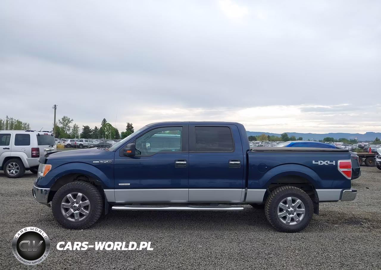 2013 Ford F-150 Xlt VIN:1FTFW1ET3DFC62406 - 14