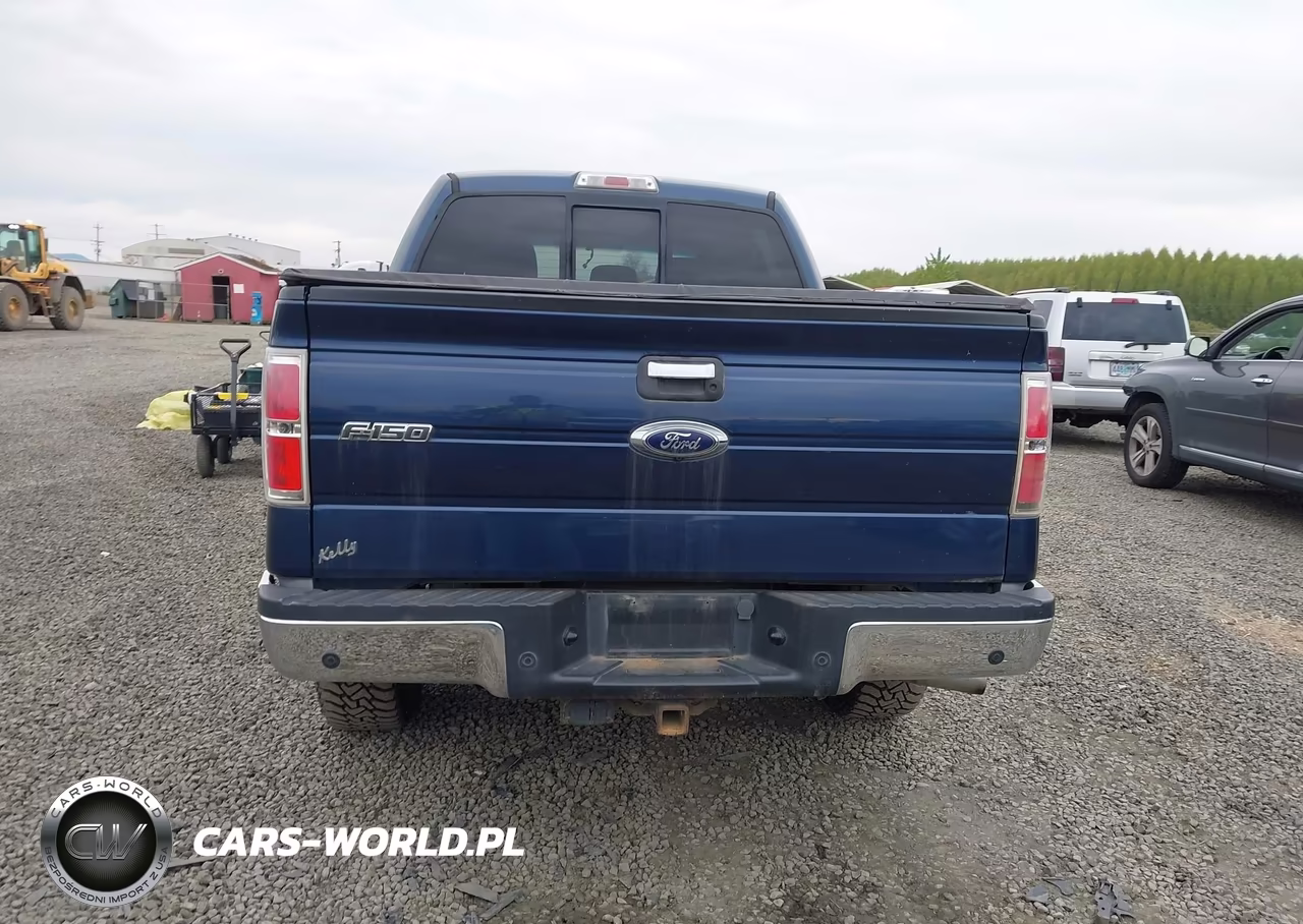2013 Ford F-150 Xlt VIN:1FTFW1ET3DFC62406 - 16