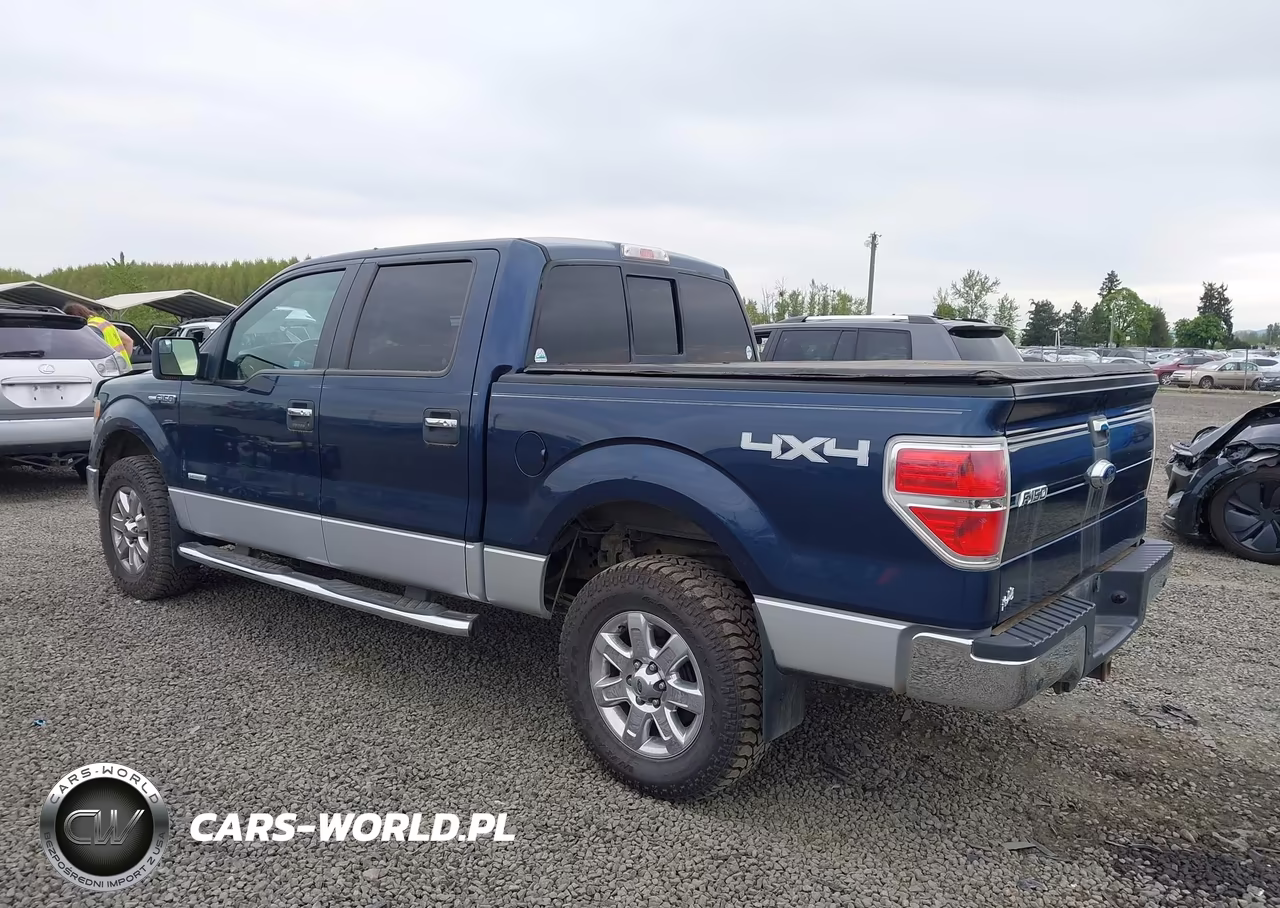 2013 Ford F-150 Xlt VIN:1FTFW1ET3DFC62406 - 3