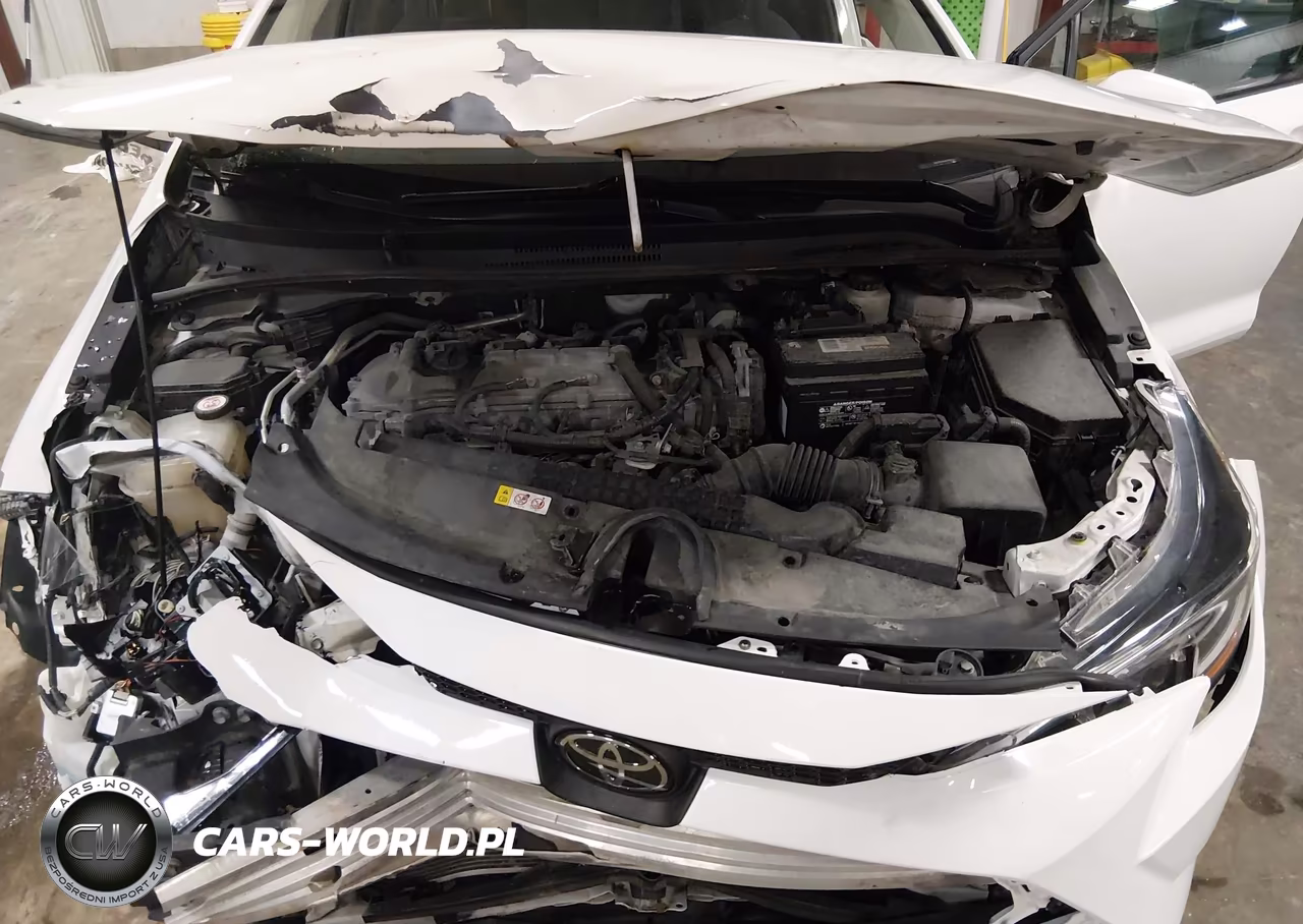 2020 Toyota Corolla Le VIN:5YFEPRAE3LP045816 - 10
