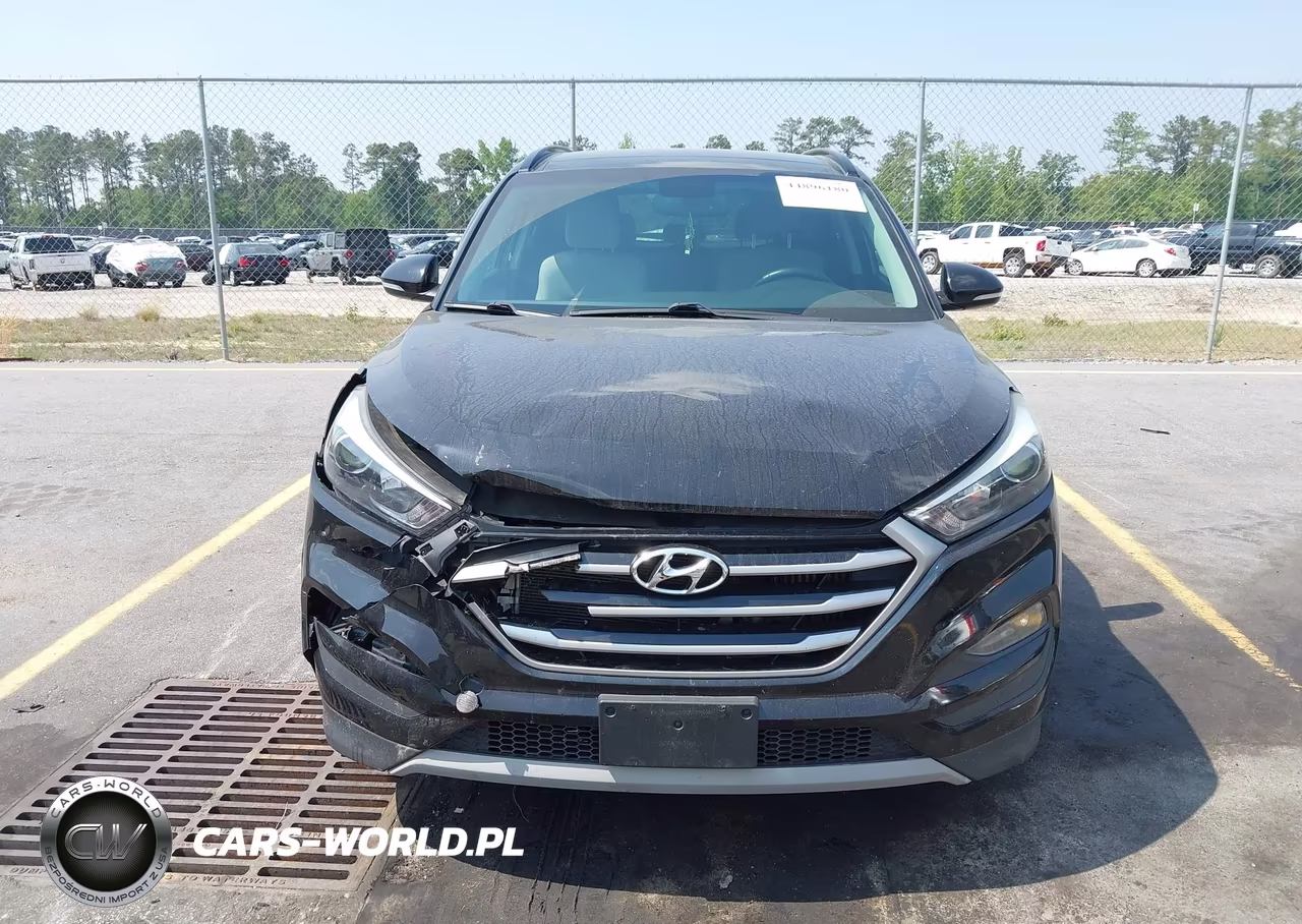2018 Hyundai Tucson Value VIN:KM8J3CA26JU794117 - 12
