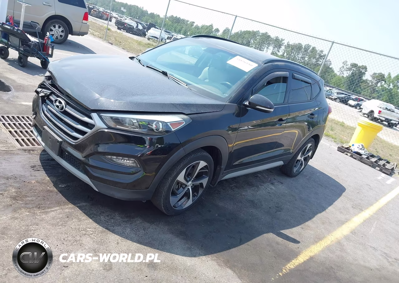 2018 Hyundai Tucson Value VIN:KM8J3CA26JU794117 - 2