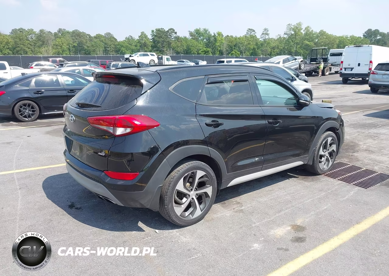 2018 Hyundai Tucson Value VIN:KM8J3CA26JU794117 - 4