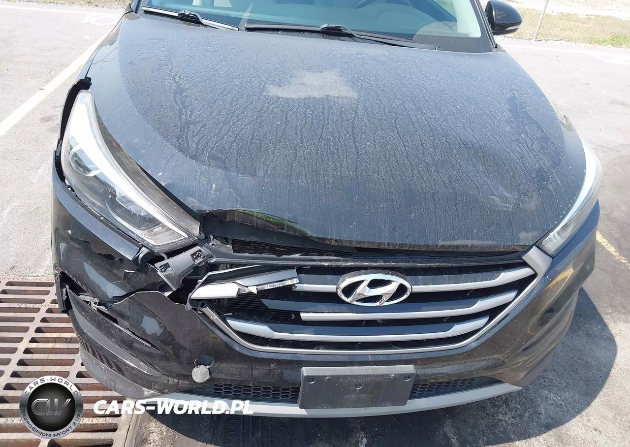 2018 Hyundai Tucson Value VIN:KM8J3CA26JU794117 - 6