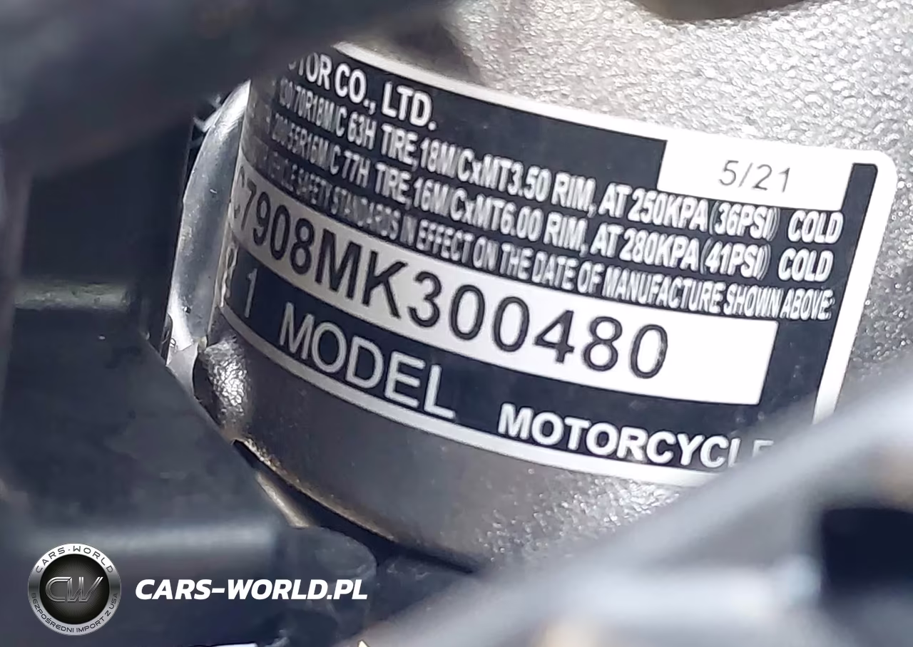 2021 Honda Gl1800 VIN:JH2SC7908MK300480 - 10