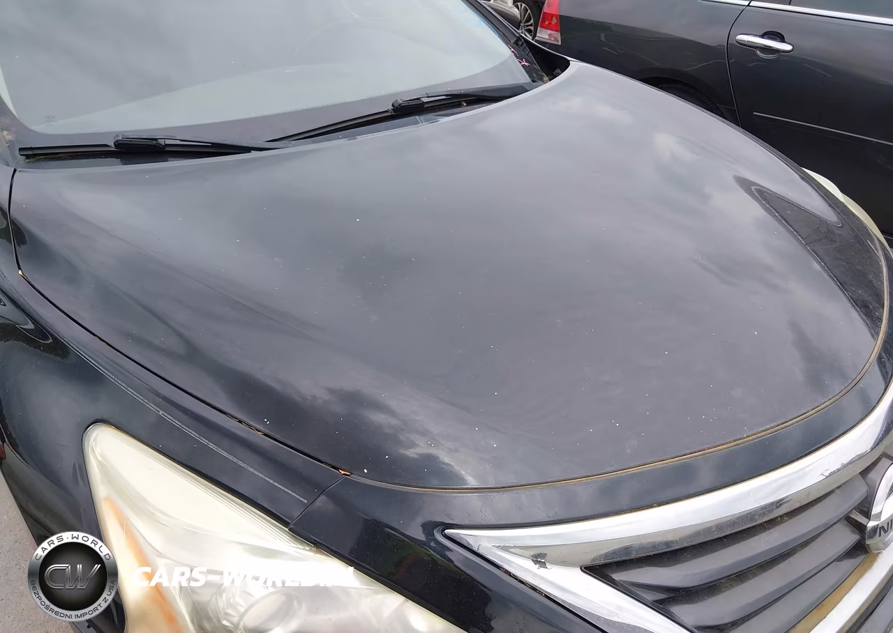 2013 Nissan Altima 2.5 Sl VIN:1N4AL3AP1DN543672 - 6