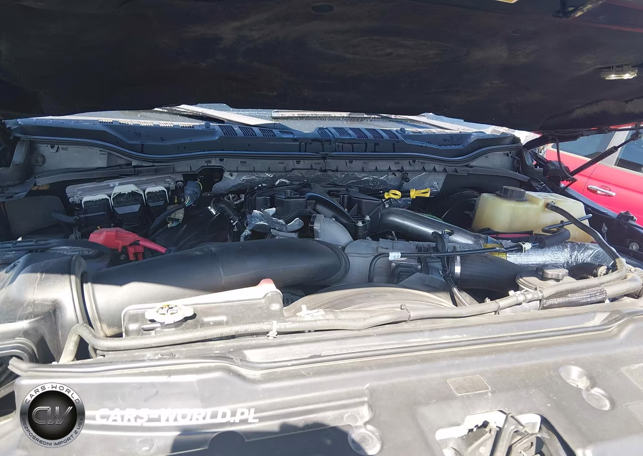2017 Ford F-250 Platinum VIN:1FT7W2BT2HED39468 - 10