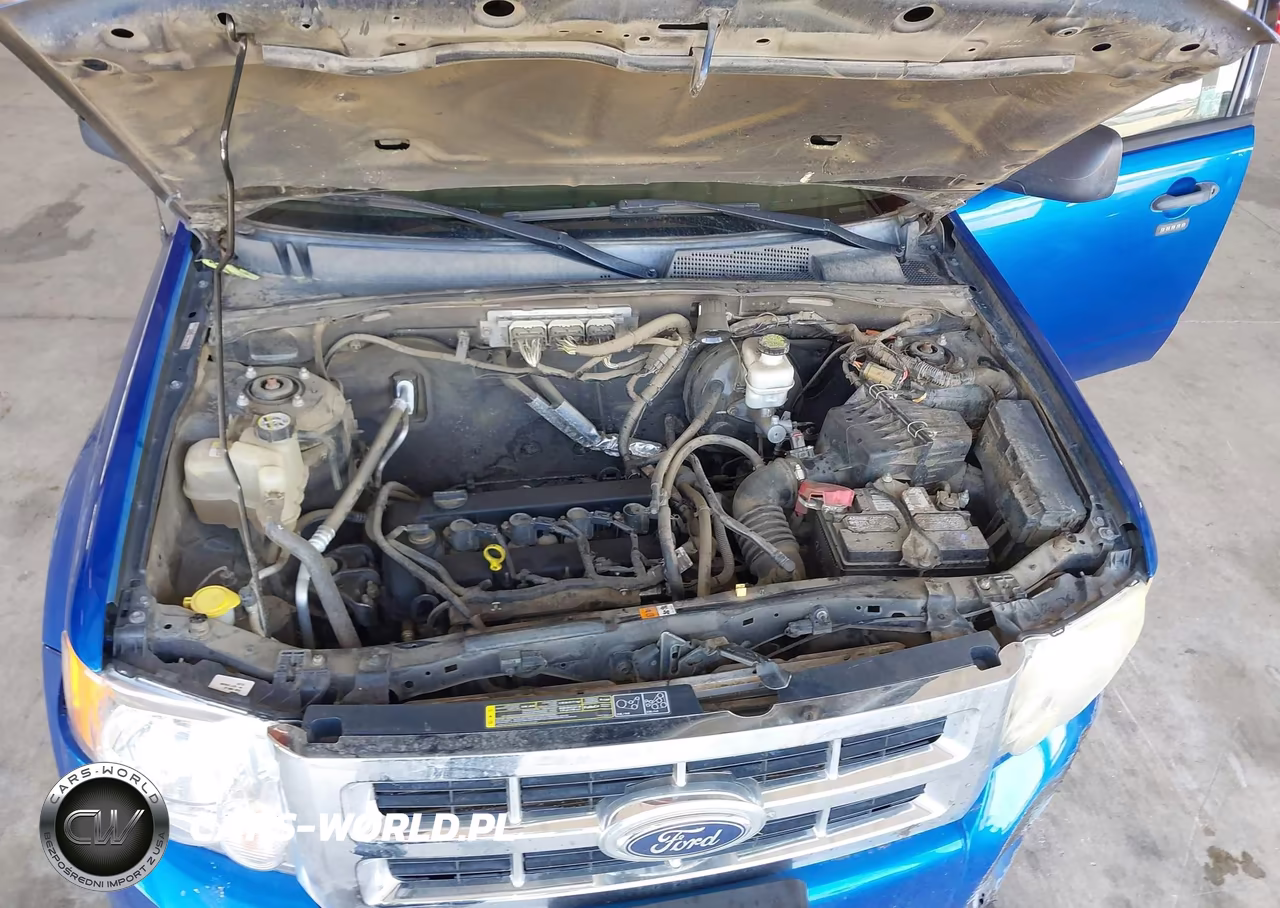 2011 Ford Escape Xlt VIN:1FMCU0D74BKA63226 - 10