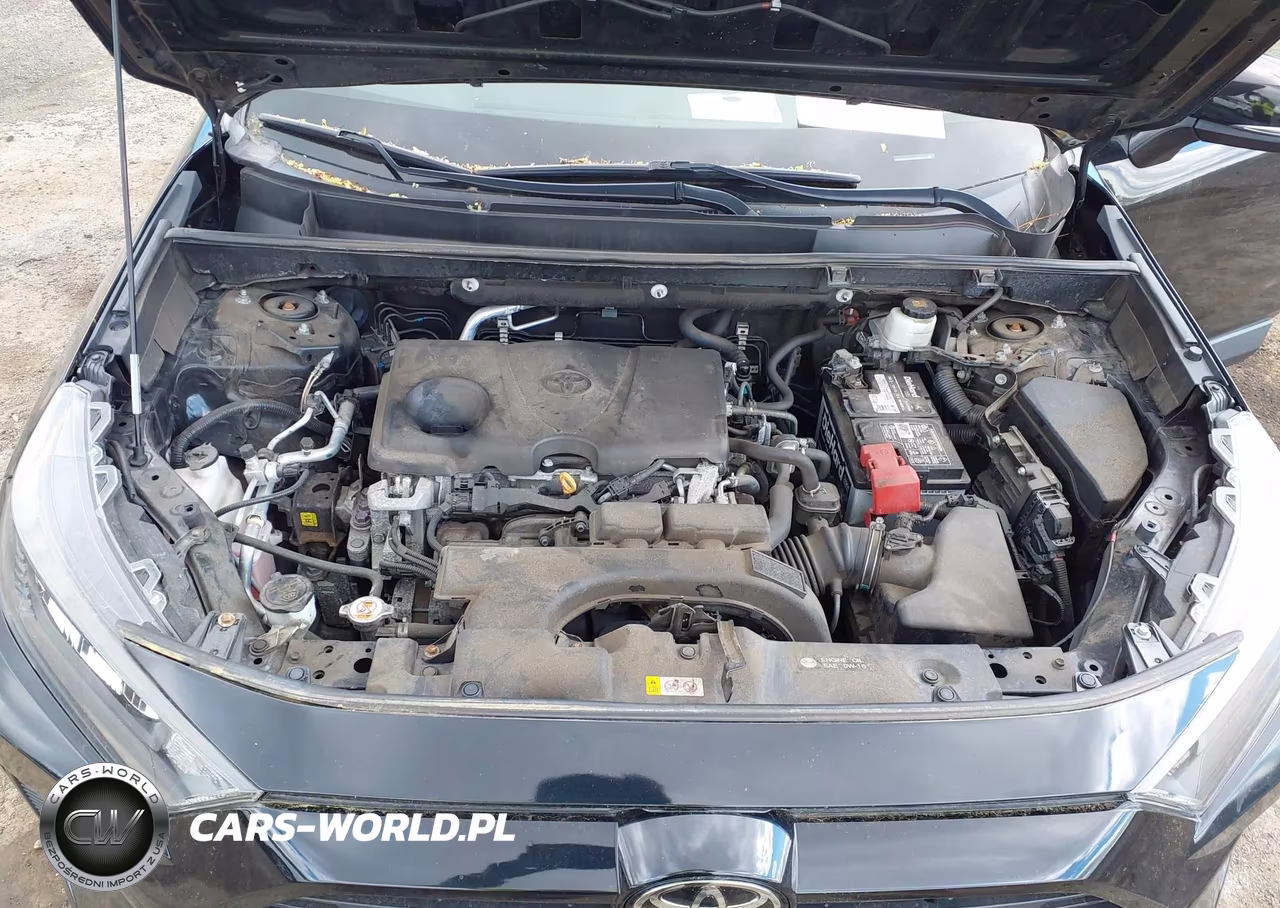 2019 Toyota Rav4 Le VIN:2T3G1RFV1KW006973 - 10