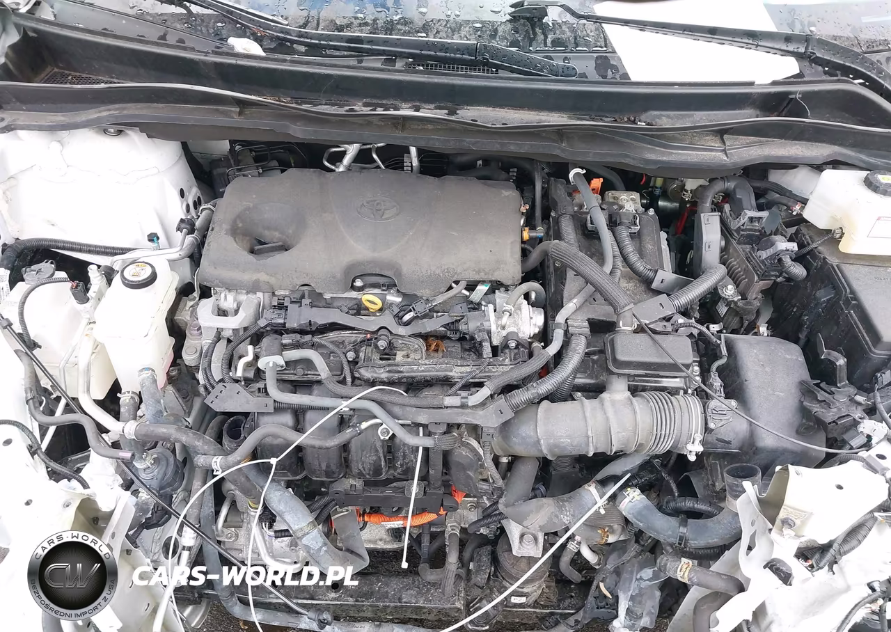 2023 Toyota Sienna Le VIN:5TDKRKEC2PS154052 - 10