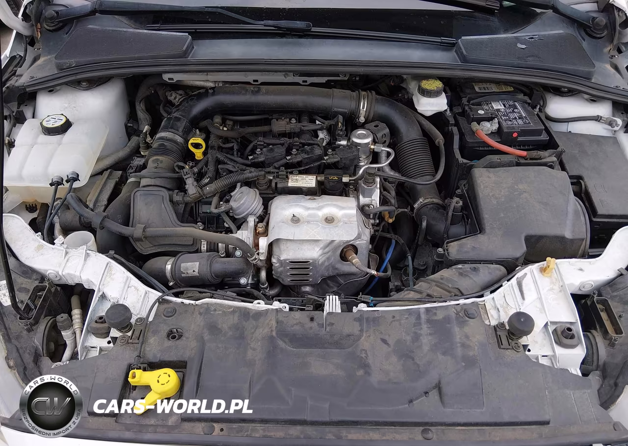 2018 Ford Focus Se VIN:1FADP3FE6JL312007 - 10