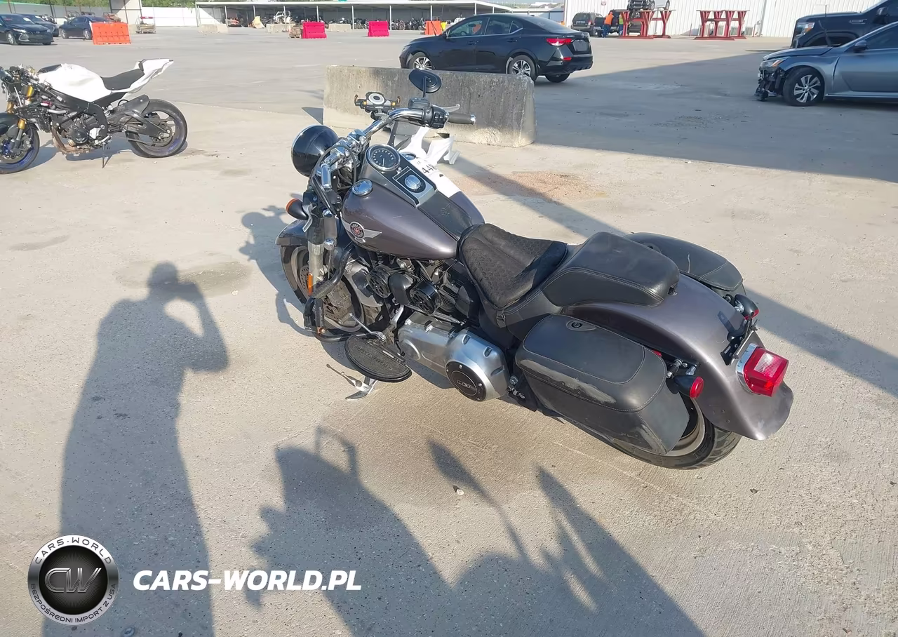 2015 Harley-Davidson Flstfb Fatboy Lo VIN:1HD1JNV15FC013834 - 3
