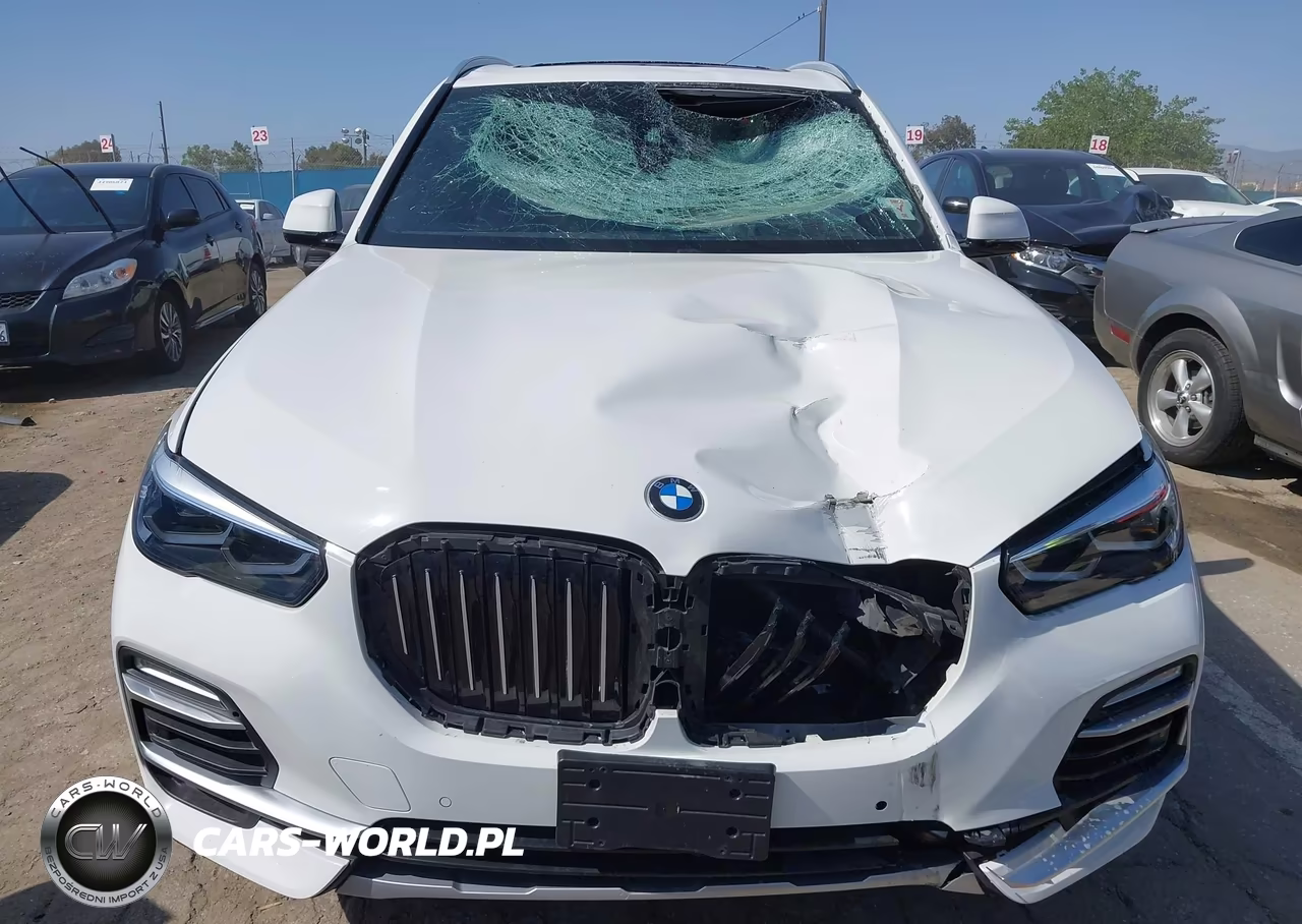 2019 BMW X5 xDrive40I VIN:5UXCR6C53KLK85922 - 12