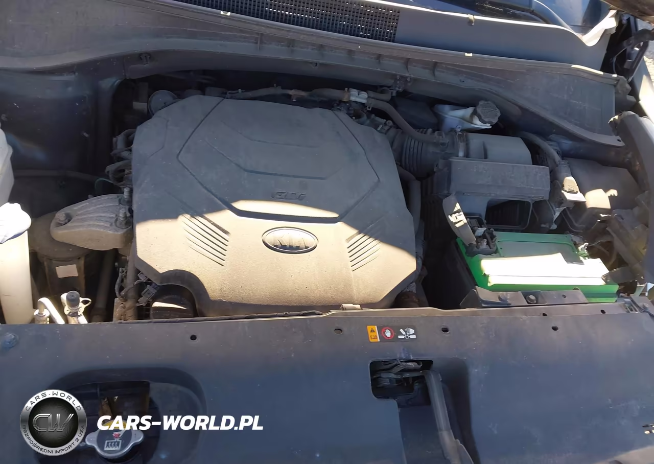 2019 Kia Sorento 3.3L Ex VIN:5XYPHDA59KG556443 - 10