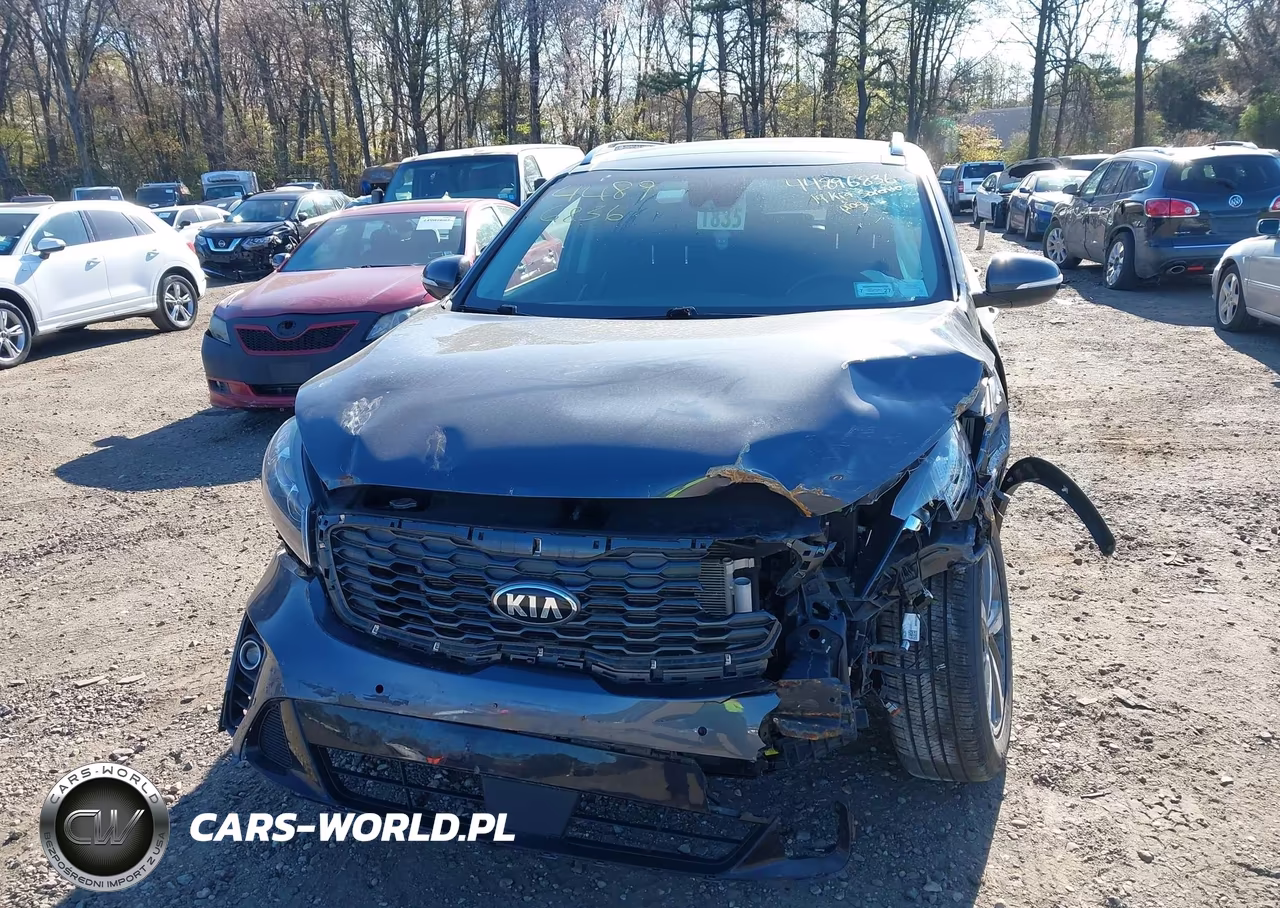 2019 Kia Sorento 3.3L Ex VIN:5XYPHDA59KG556443 - 12