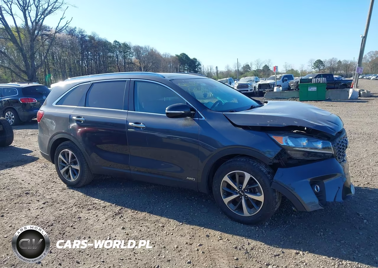 2019 Kia Sorento 3.3L Ex VIN:5XYPHDA59KG556443 - 13