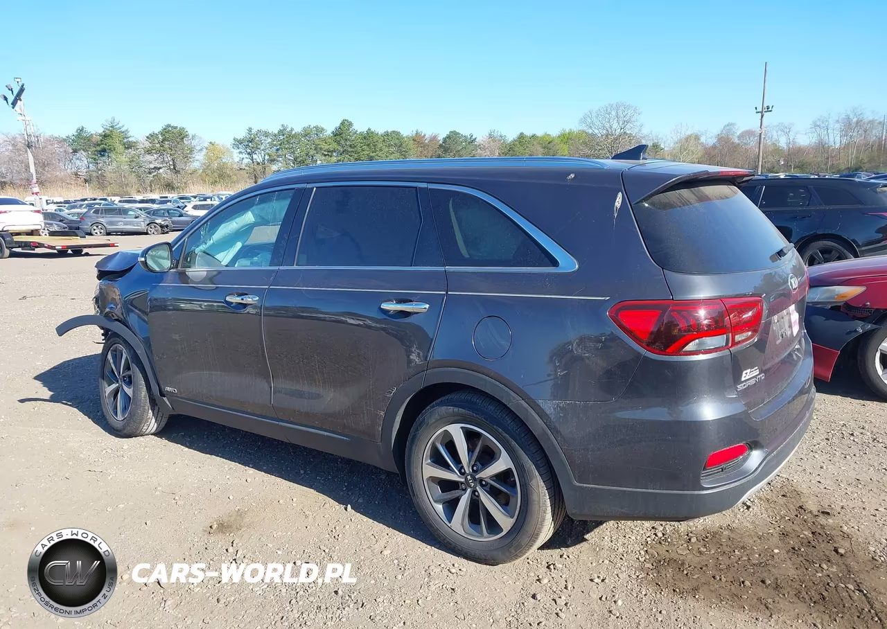 2019 Kia Sorento 3.3L Ex VIN:5XYPHDA59KG556443 - 14