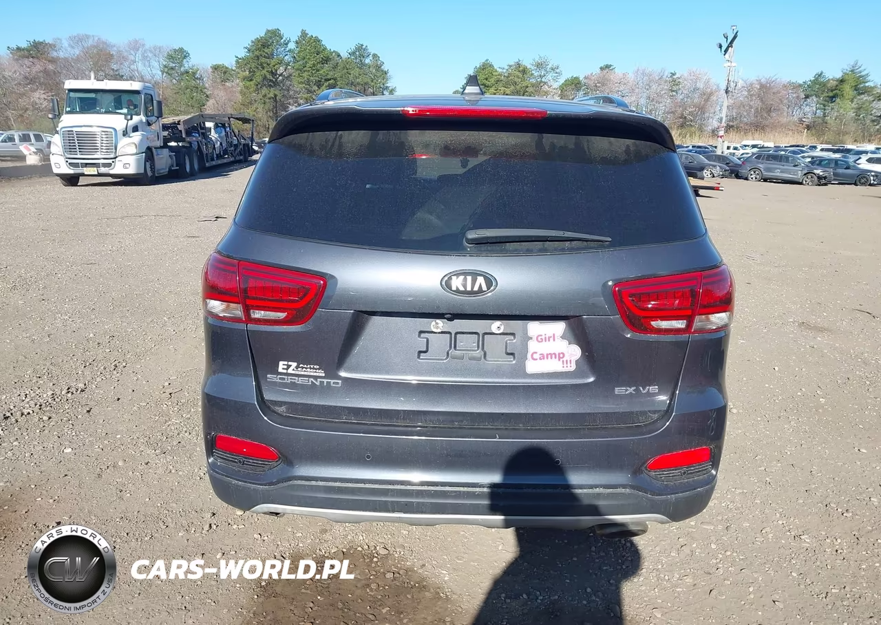 2019 Kia Sorento 3.3L Ex VIN:5XYPHDA59KG556443 - 16