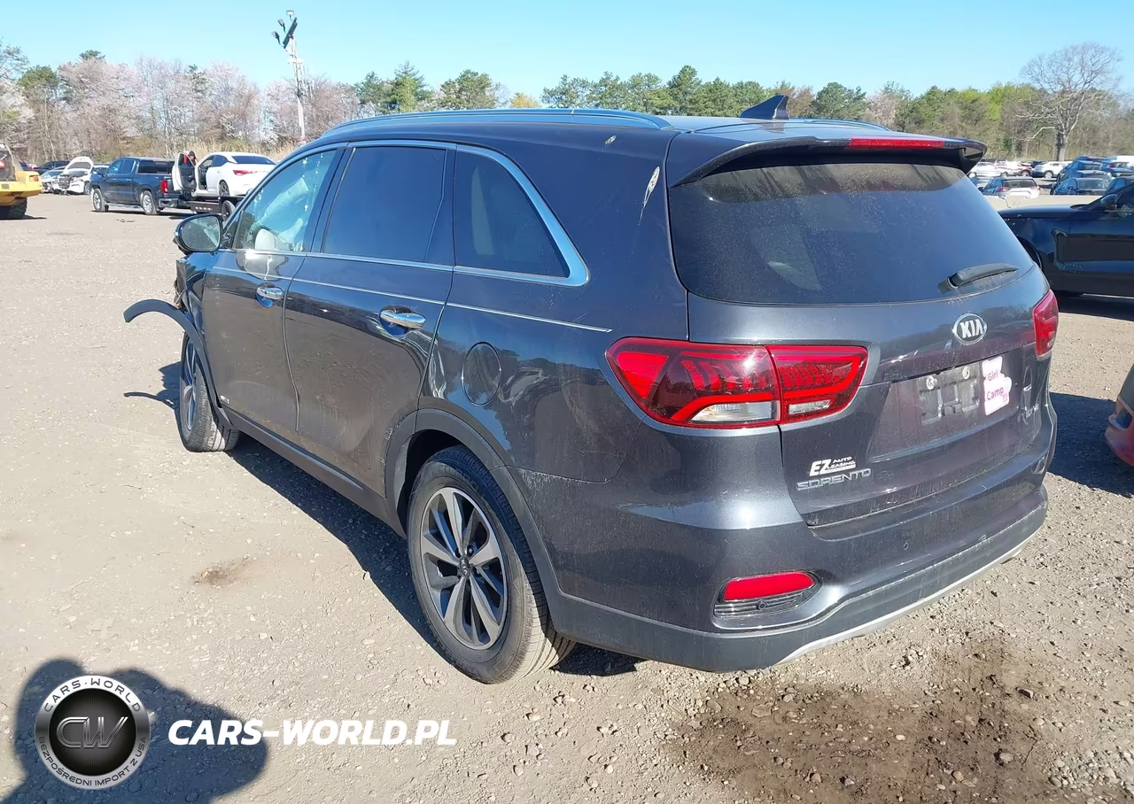 2019 Kia Sorento 3.3L Ex VIN:5XYPHDA59KG556443 - 3
