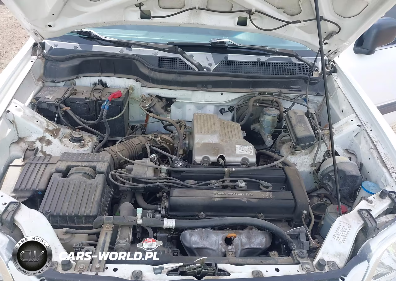 2000 Honda Cr-V Lx VIN:JHLRD1842YC019963 - 10